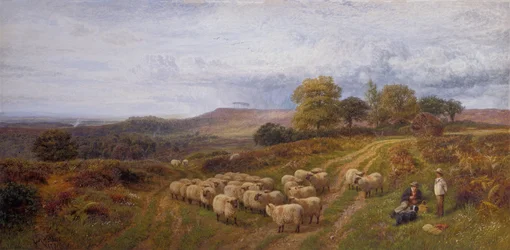 Paisaje extenso con un pastor y su rebaño de ovejas, Surrey (óleo sobre lienzo)
