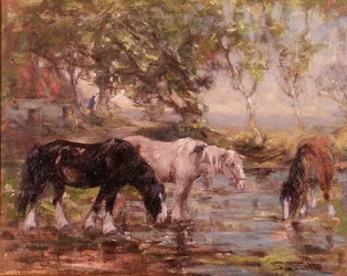 Caballos en una piscina