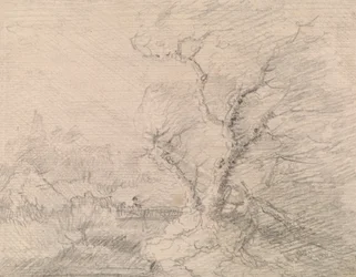 Paisaje con pasarela y gran árbol