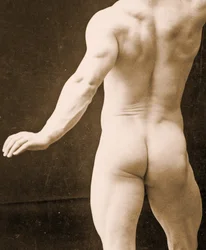 Eugen Sandow, en pose clásica grecorromana antigua, detalle de DGC 1073442 c.1894