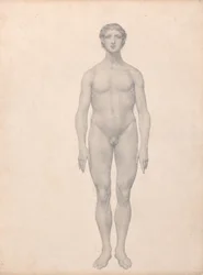 Exposición anatómica comparativa de la estructura del cuerpo humano con la de un tigre y un ave común:  Figura humana, vista anterior, sin diseccionar (estudio terminado para el cuadro VI)