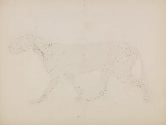 Exposición anatómica comparativa de la estructura del cuerpo humano con la del tigre y la del ave común: Cuerpo de Tigre, Vista Lateral (Estudio de las capas superiores de los músculos y su irrigación sanguínea preparado para la figura clave de la Tabla XI