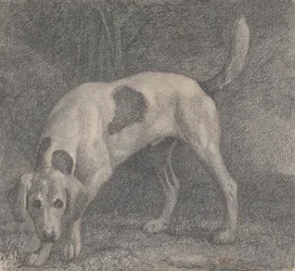 Un Foxhound en la mira