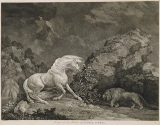 Un caballo asustado por un león, grabado por el artista