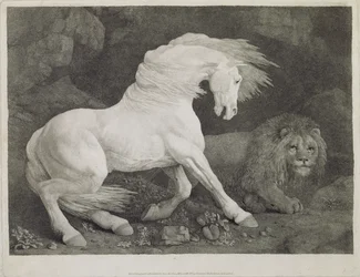 Un caballo asustado por un león, grabado por el artista, pub. 1788