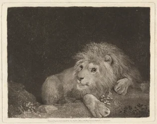 Un León [Un León yacente]