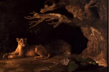 Un león y una leona