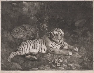 Un tigre y un leopardo dormido