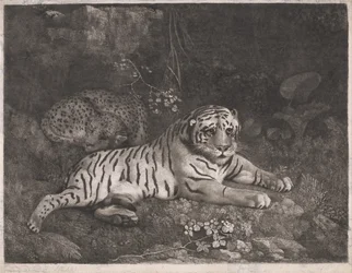 Un tigre y un leopardo dormido