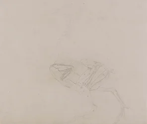 Dorking Hen Body, Lateral View (Estudio de los músculos del cuerpo y las extremidades en una fase posterior de la disección)