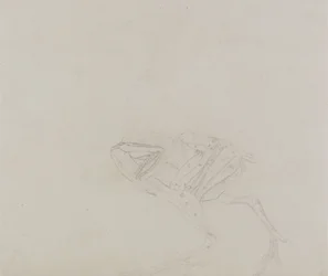 Cuerpo de gallina Dorking, vista lateral, de Una exposición anatómica comparativa de la estructura del cuerpo humano con la de un tigre y un ave común, 1795-1806