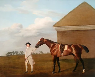 Firetail con su entrenador junto a la casa de frotamiento en Newmarket Heath, 1773