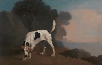 Foxhound, Foxhound en el rastro