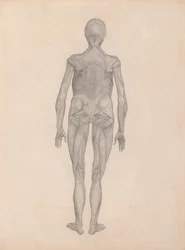 Figura humana, vista posterior (estudio terminado para una plancha inédita)