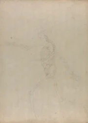 Esqueleto humano, vista lateral (Estudio para una figura clave de una tabla inédita que muestra las vísceras abdominales)