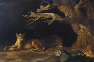 Leona y cueva