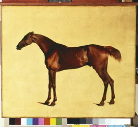 Pangloss (óleo sobre lienzo)
