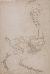 Estudio de un ave, vista lateral, de Una exposición anatómica comparativa de la estructura del cuerpo humano con la de un tigre y un ave común, 1795-1806