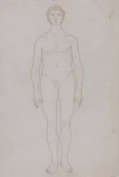 Estudio de la figura humana, vista anterior (Esquema de la tabla VI)