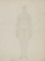 Estudio de la figura humana, vista anterior, de 