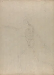 Estudio de la figura humana, vista lateral, de Una exposición anatómica comparativa de la estructura del cuerpo humano con la de un tigre y un ave común, 1795-1806