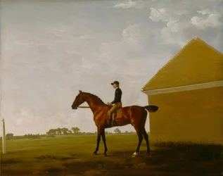 Turf, con Jockey arriba, en Newmarket