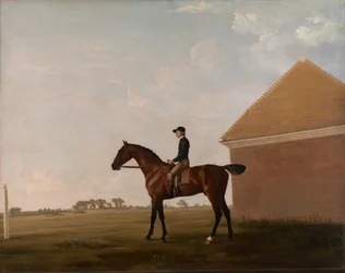 Turf, con jinete en Newmarket