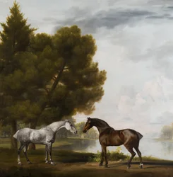 Dos caballos en comunión en un paisaje, c.1765-80 (óleo sobre lienzo)