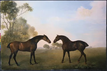 Dos cazadores en el pasto