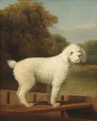 Caniche blanco en una lancha, c. 1780