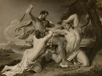 El combate