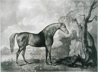 Máscara de caballo marrón, después de George Stubbs, 1773