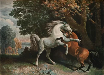 Caballos peleando, siglo XVIII, 1902