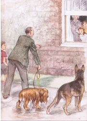 Los spaniels estaban empapados de barro y baba, de Pets Limited publicado por Collins