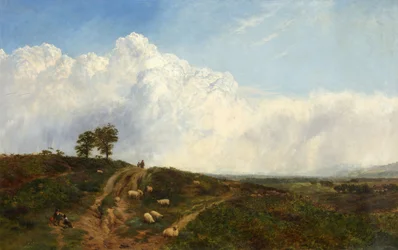 Cruce de caminos sobre el páramo