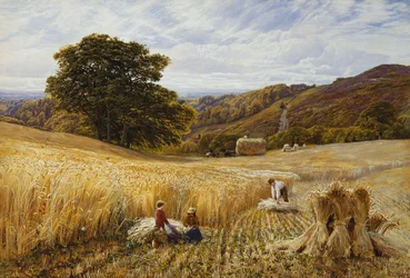 Tiempo de cosecha cerca de Holmbury Hill, Surrey