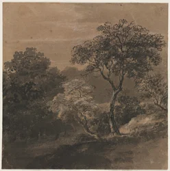 Paisaje