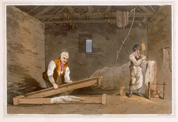 Line Swinglers grabado por Robert Havell el Viejo, publicado en 1814 por Robinson y Son, Leeds