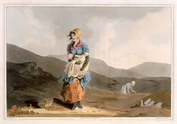 La Chica del Arándano, grabado por Robert Havell el Viejo, publicado en 1814 por Robinson y Son, Leeds