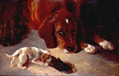 Un cachorro inquisitivo