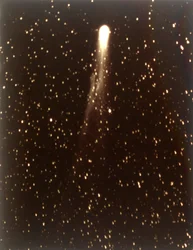 Cometa de Halley, 1910