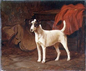 Un Jack Russell en una sala de tachuelas
