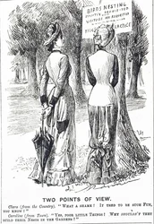 Caricatura comentando sobre la Ley de Protección de Aves de 1880