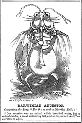 Ancestro darwiniano