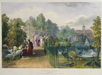 El aviario en los Jardines Zoológicos, Regents Park, grabado y publicado por el artista, impreso por Charles Hullmandel
