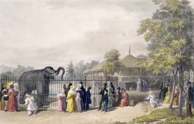 La casa de los elefantes en los Jardines Zoológicos, Regent