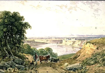 Paisaje con ganado