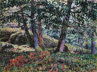Robles y arbustos de arándanos