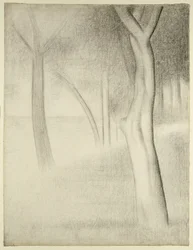 Árboles