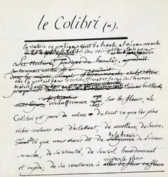 Manuscrito de Buffon sobre el colibrí. sd. siglo XVIII
